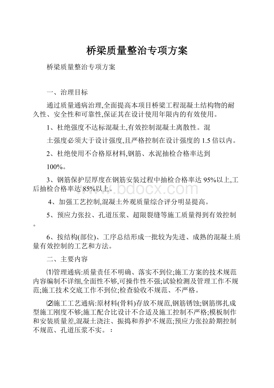 桥梁质量整治专项方案文档格式.docx_第1页