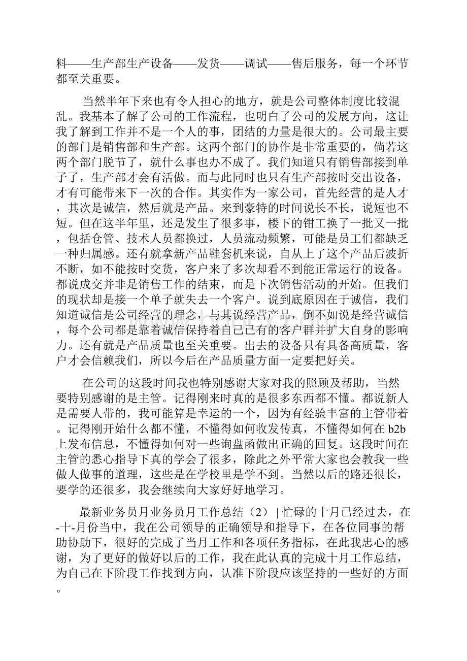 业务员月工作总结4篇Word下载.docx_第2页