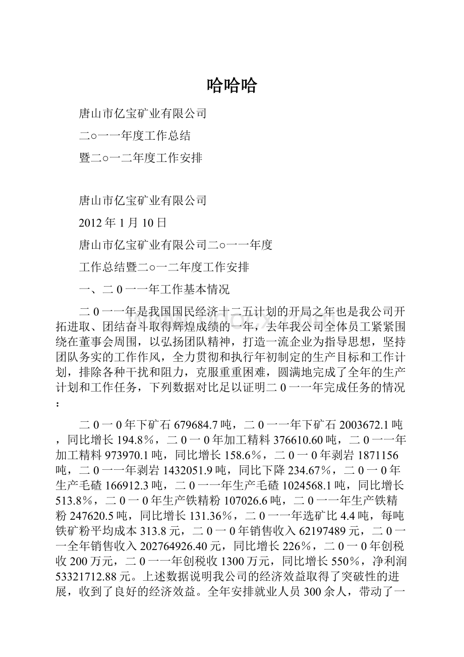 哈哈哈Word格式文档下载.docx_第1页