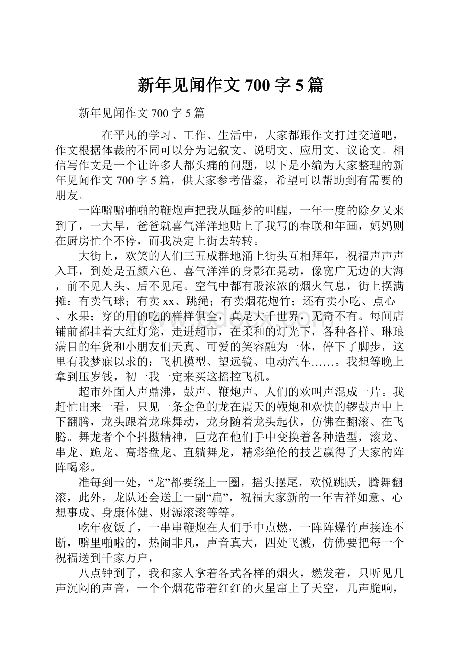 新年见闻作文700字5篇.docx