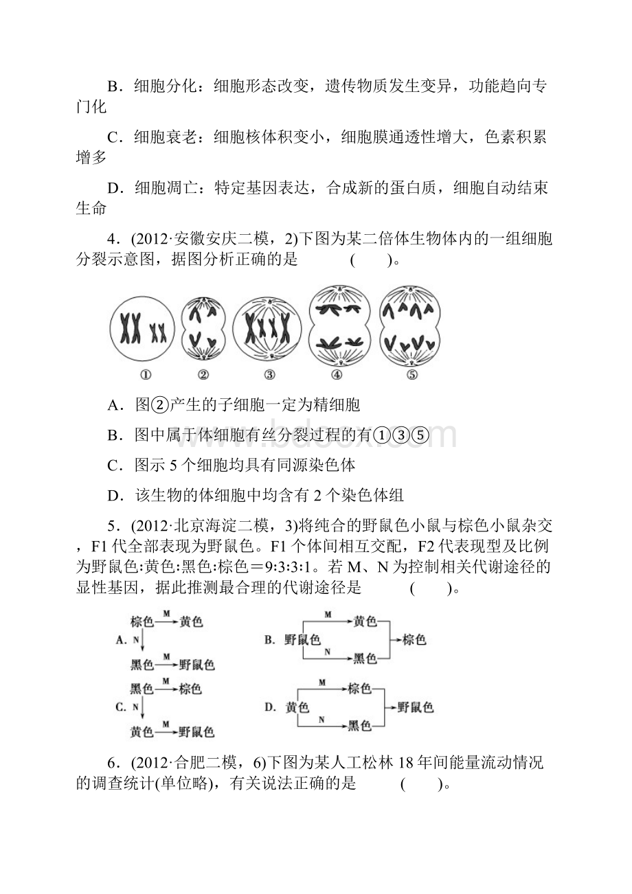 6+4+2仿真模拟1Word文档下载推荐.docx_第2页