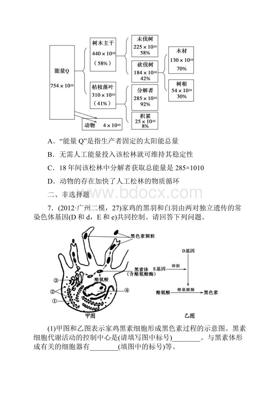 6+4+2仿真模拟1Word文档下载推荐.docx_第3页