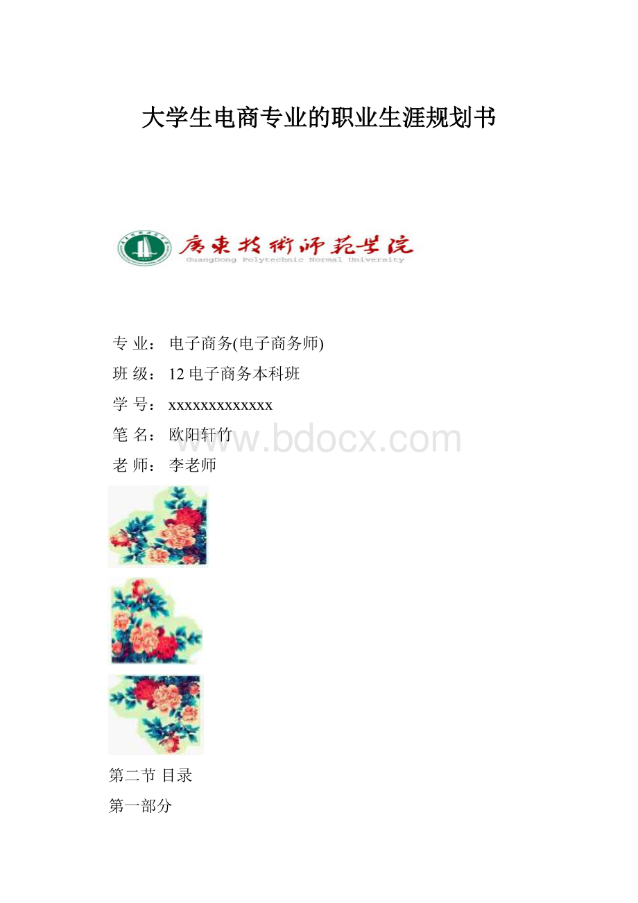 大学生电商专业的职业生涯规划书Word格式文档下载.docx