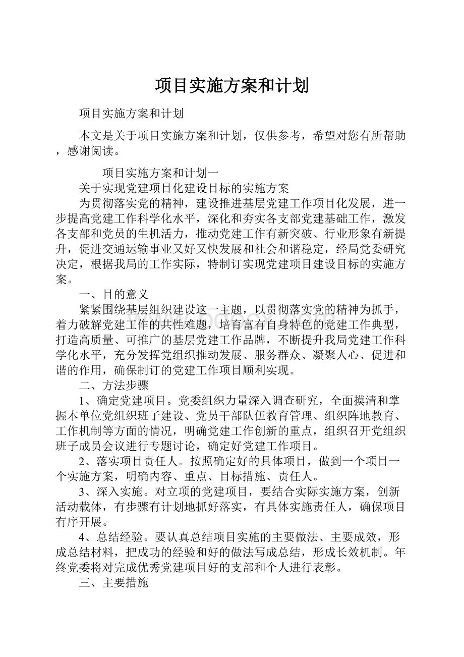 项目实施方案和计划.docx_第1页