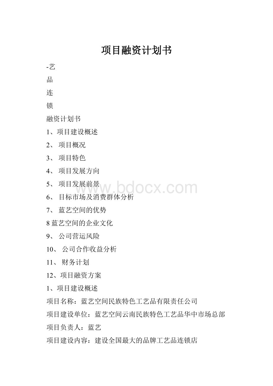 项目融资计划书.docx_第1页