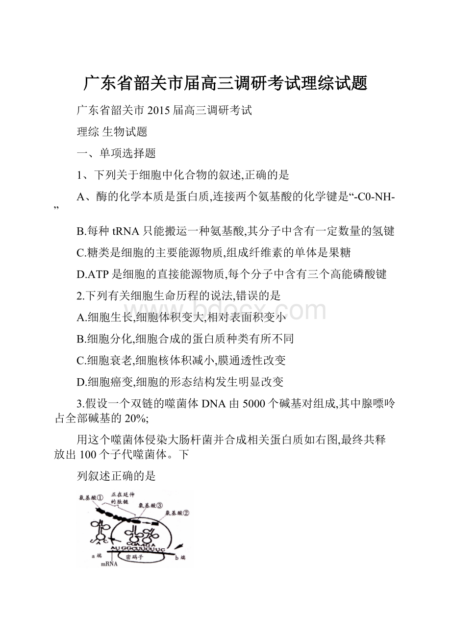 广东省韶关市届高三调研考试理综试题.docx_第1页