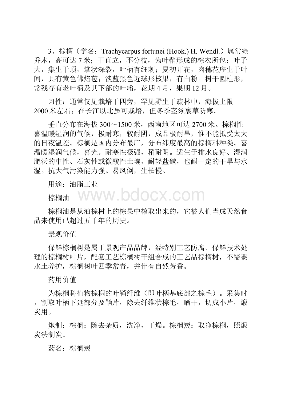 徐州地区常用乔木.docx_第3页