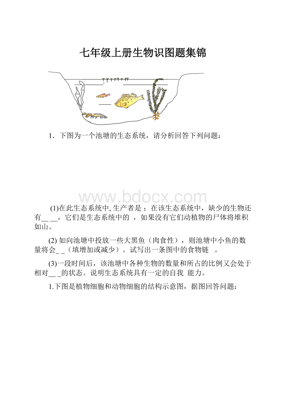 七年级上册生物识图题集锦.docx