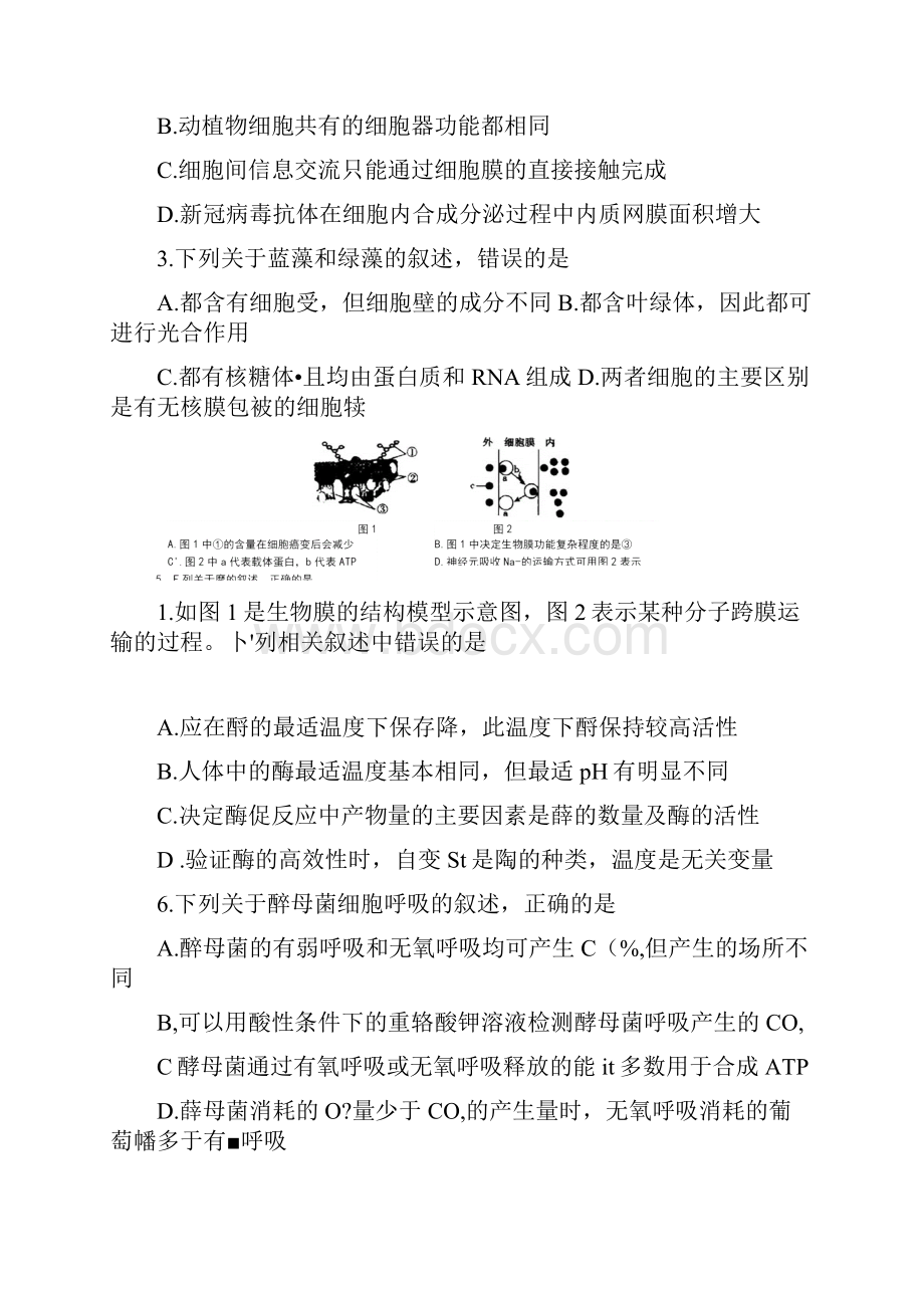 百校联盟届高三联考全国卷生物试题含答案和解析Word文档下载推荐.docx_第2页