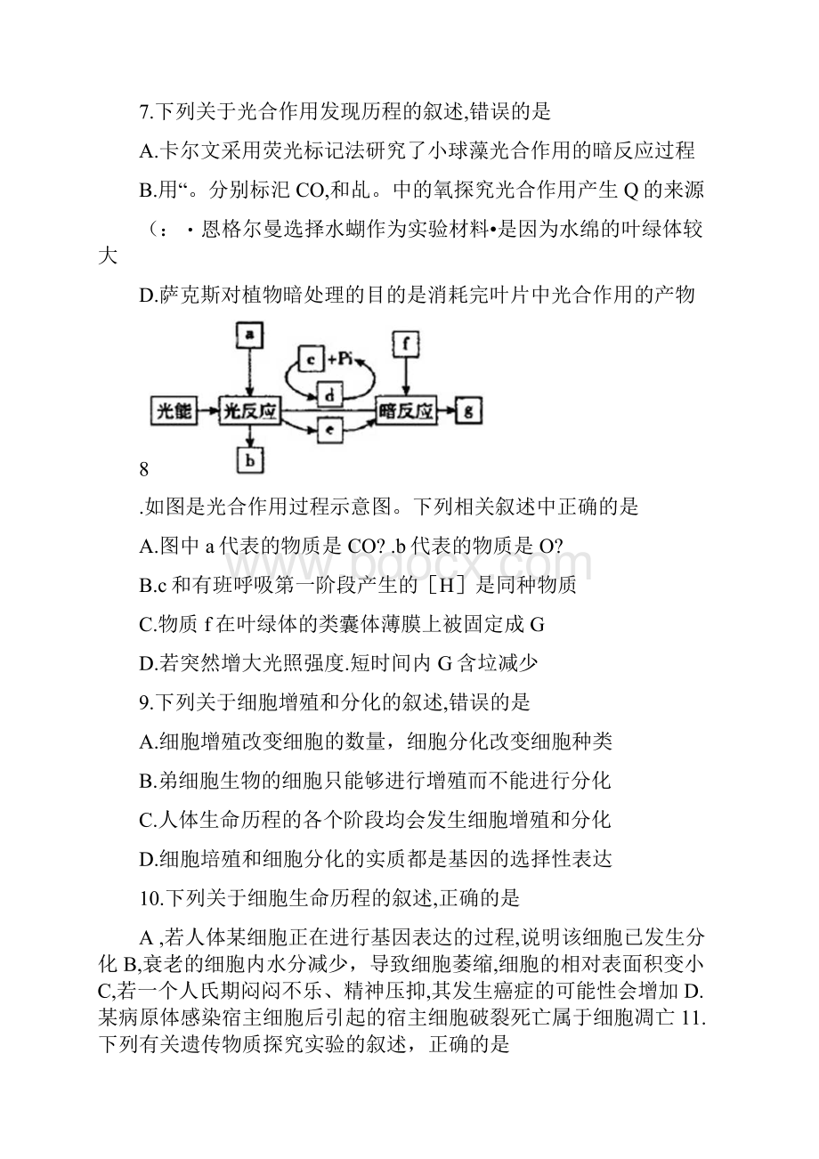 百校联盟届高三联考全国卷生物试题含答案和解析Word文档下载推荐.docx_第3页