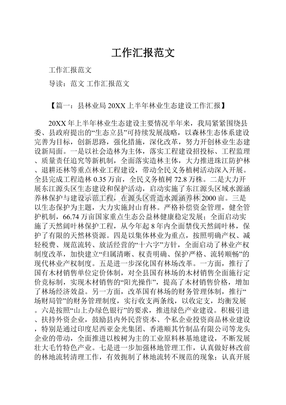 工作汇报范文.docx