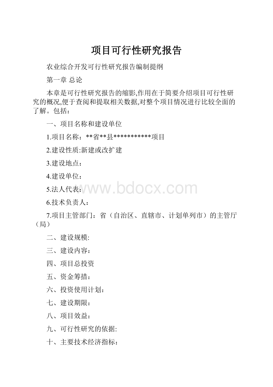 项目可行性研究报告文档格式.docx