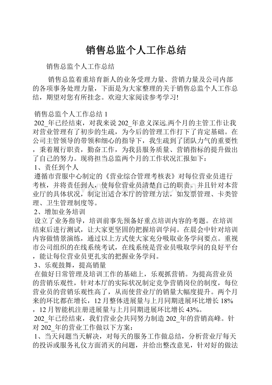 销售总监个人工作总结Word格式.docx