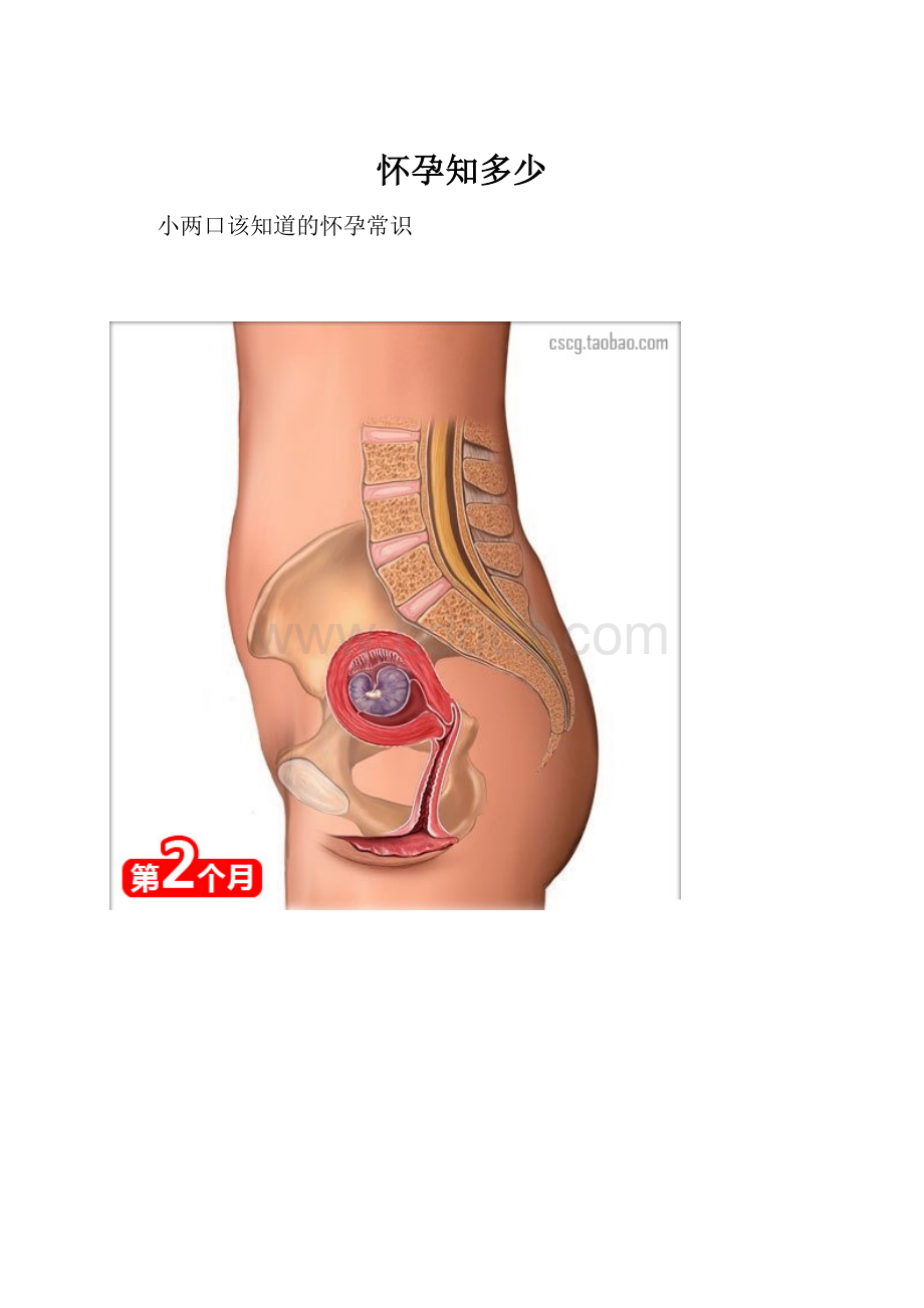 怀孕知多少Word文档格式.docx_第1页