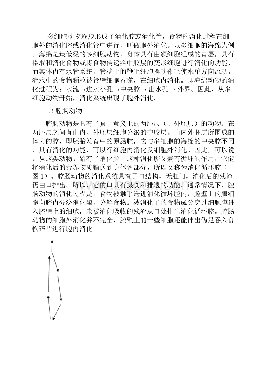 浅谈动物消化系统的结构与机能演化历程.docx_第2页