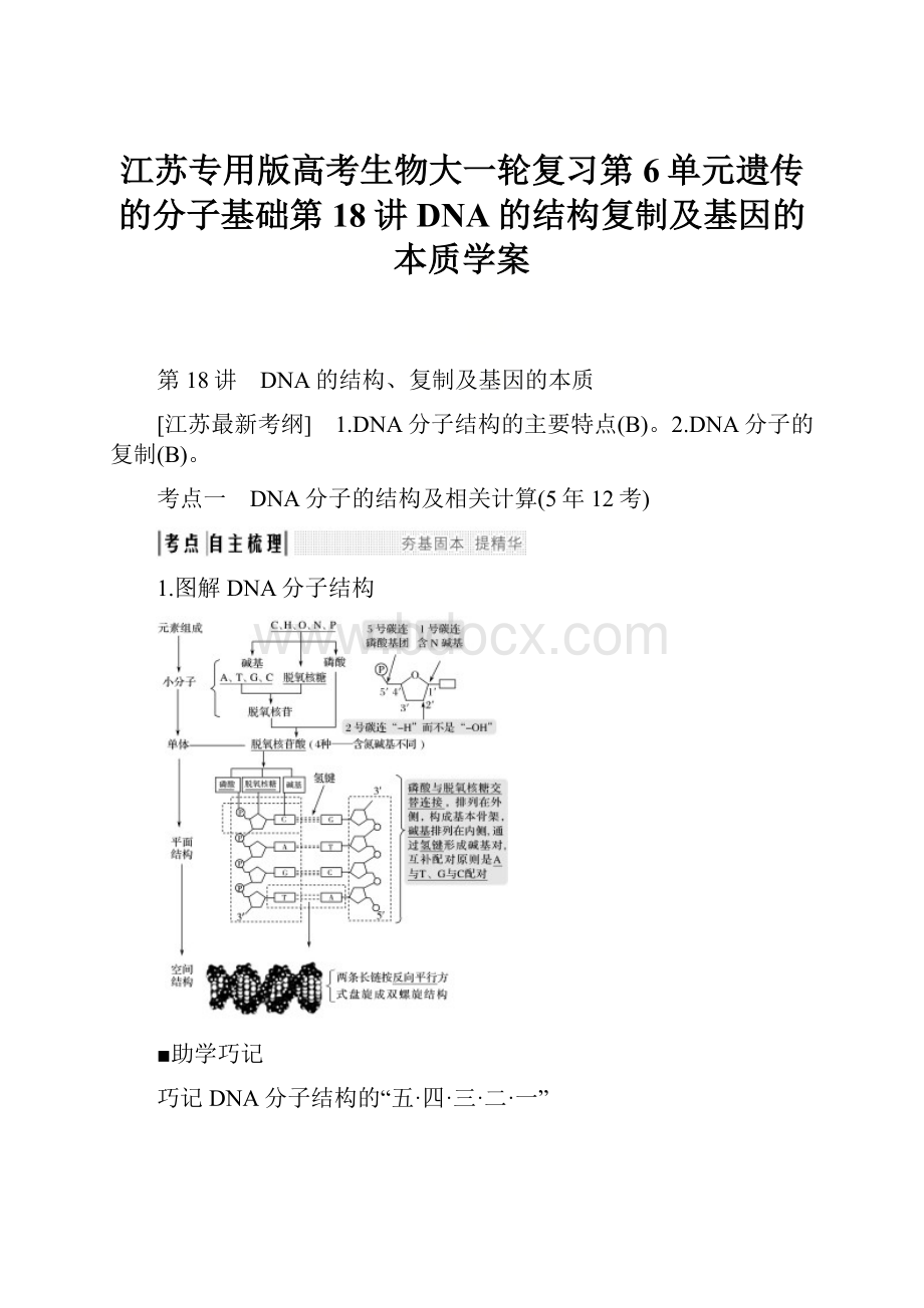 江苏专用版高考生物大一轮复习第6单元遗传的分子基础第18讲DNA的结构复制及基因的本质学案Word文档格式.docx