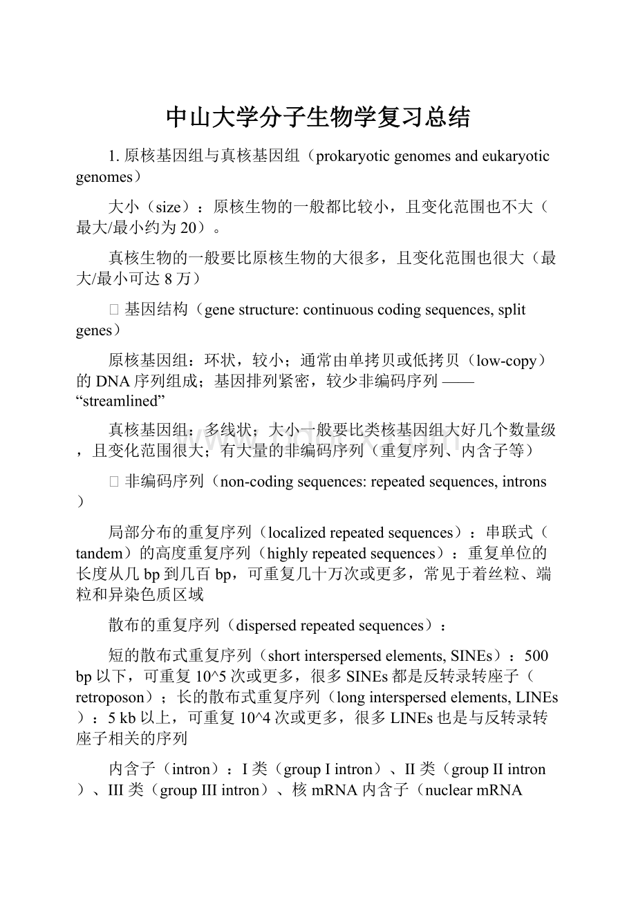 中山大学分子生物学复习总结.docx_第1页