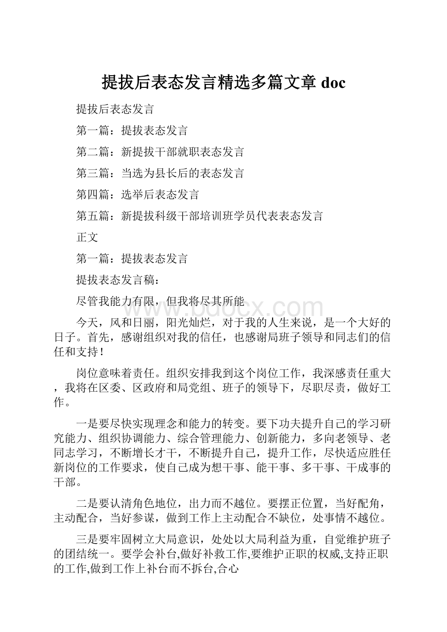 提拔后表态发言精选多篇文章doc.docx