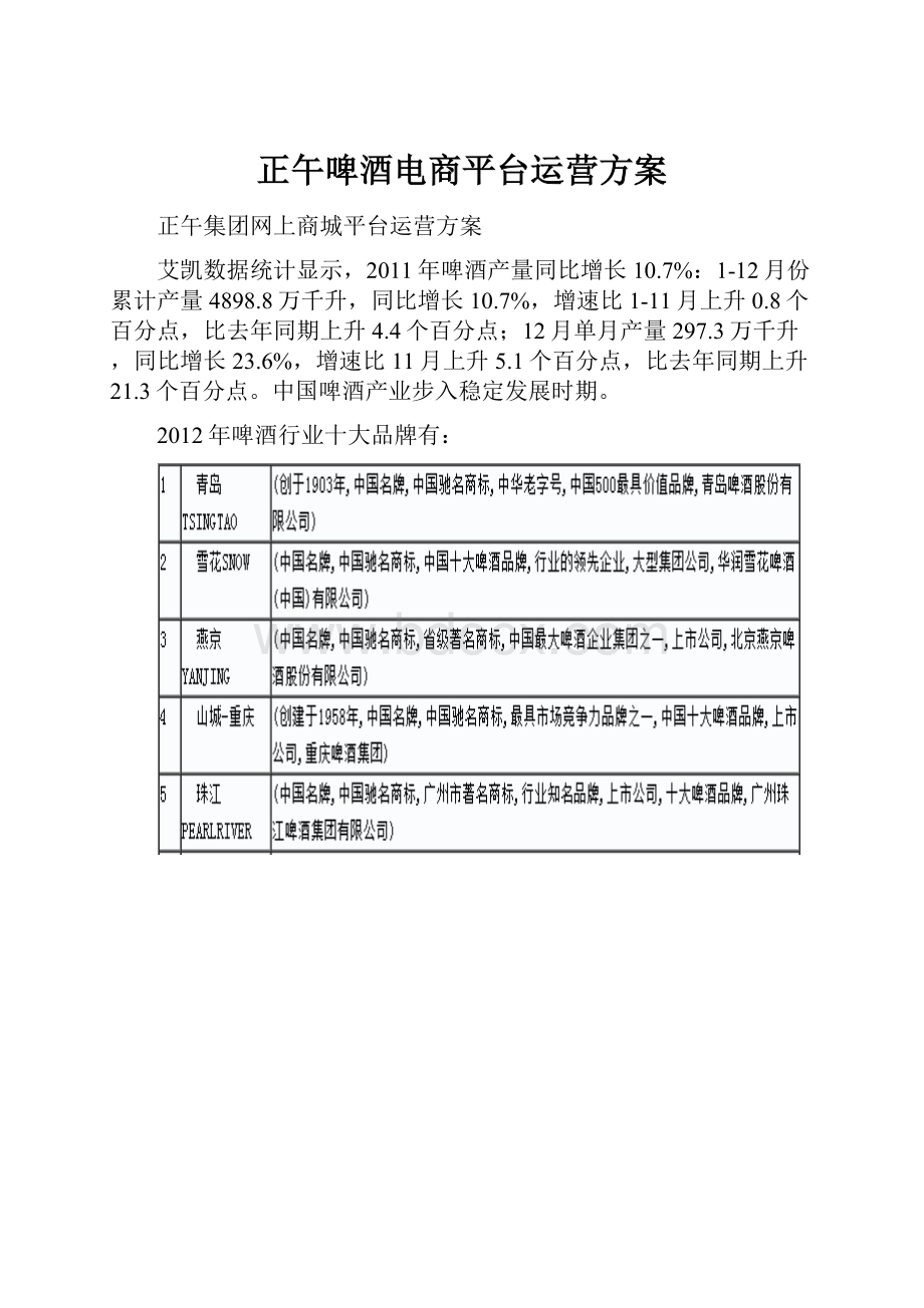 正午啤酒电商平台运营方案Word文档下载推荐.docx