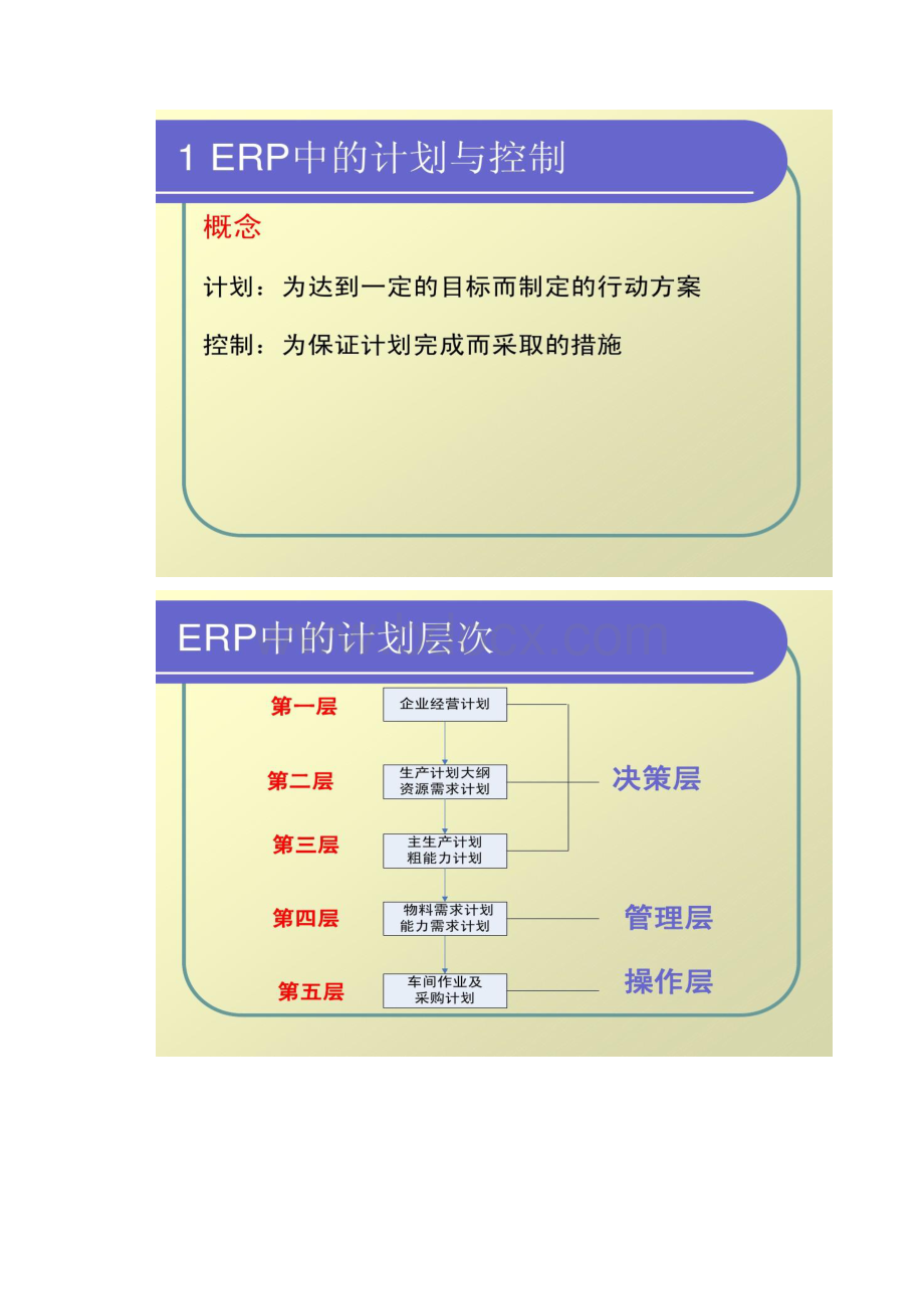 ERP基本概念和发展汇总.docx_第2页
