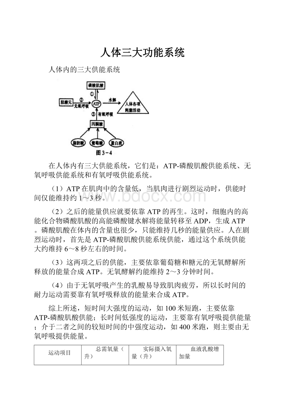 人体三大功能系统Word下载.docx