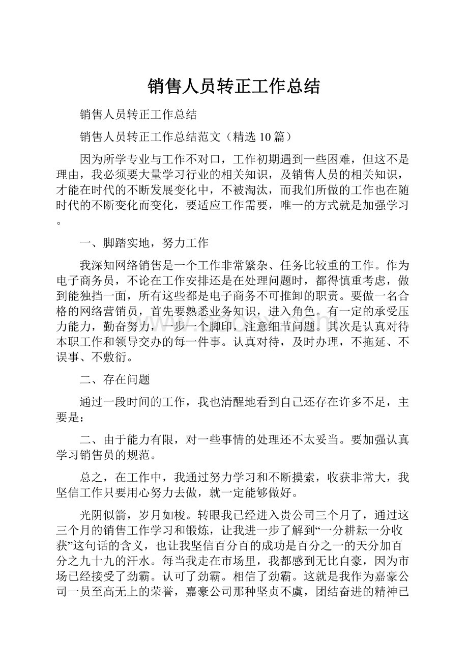 销售人员转正工作总结.docx