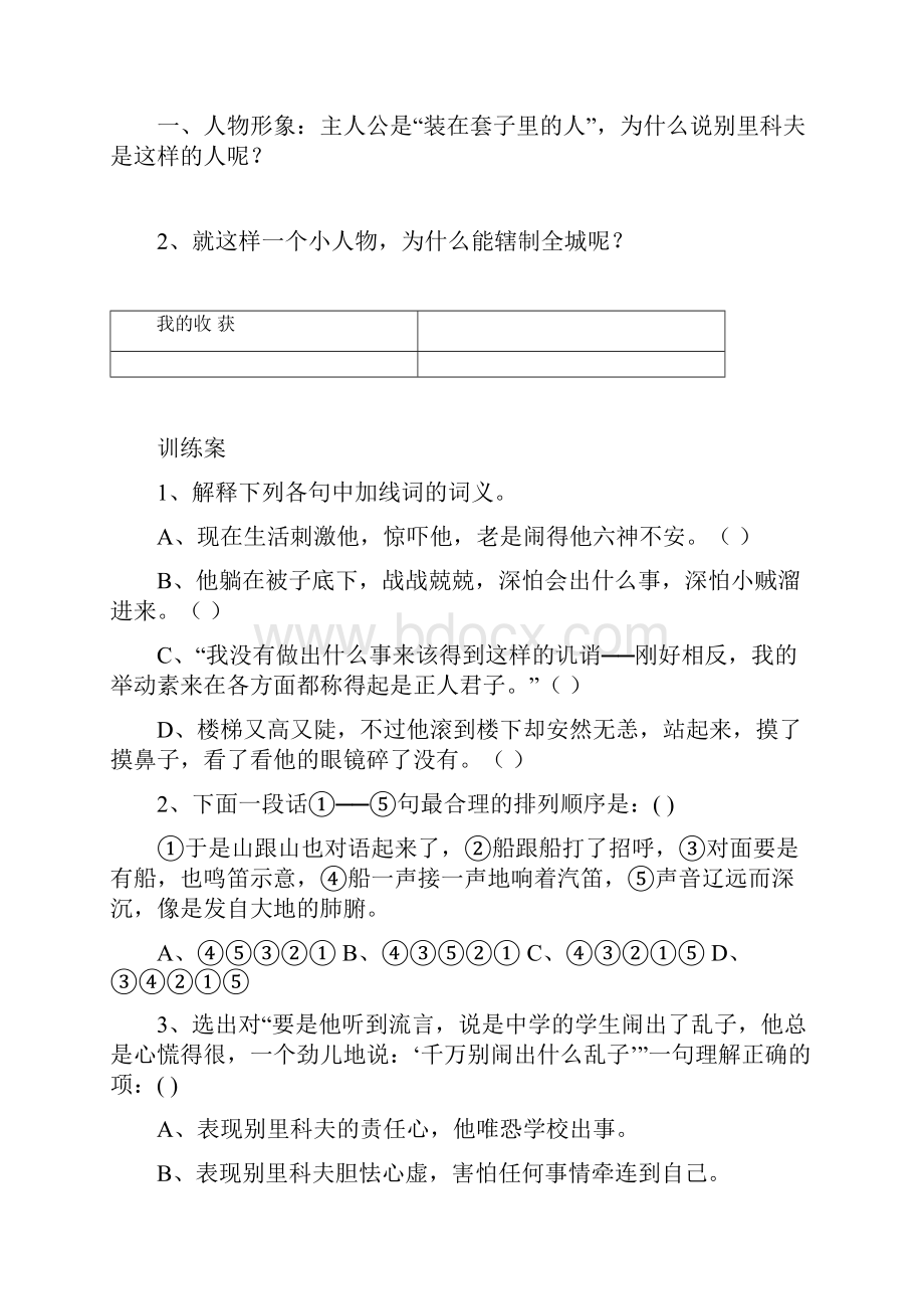 高中语文套中人教学案新人教版必修5.docx_第3页