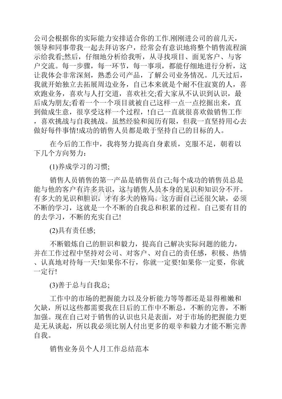 销售业务员个人月工作总结范本五篇.docx_第3页