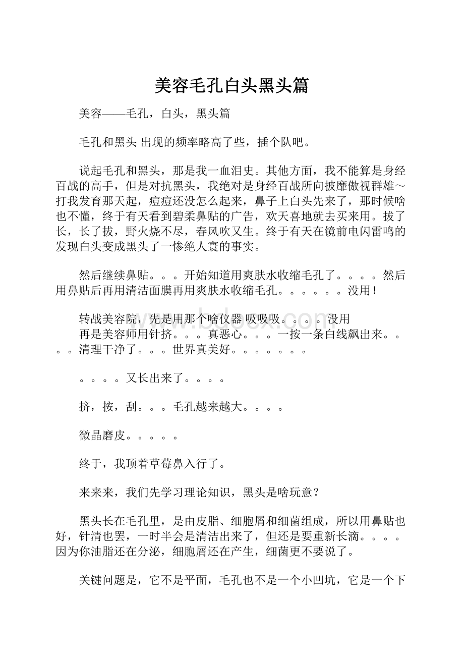 美容毛孔白头黑头篇Word文档下载推荐.docx