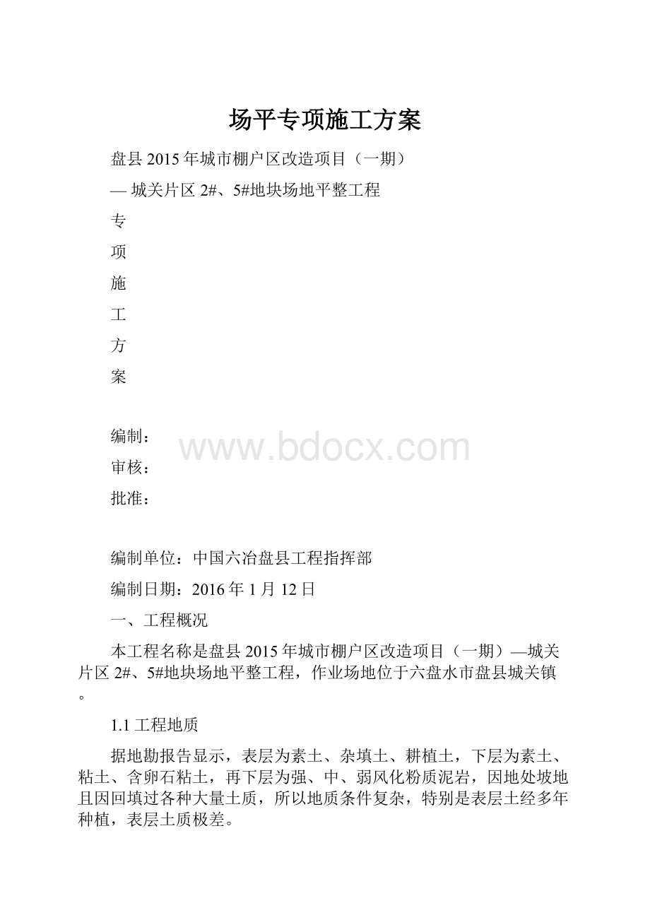 场平专项施工方案文档格式.docx