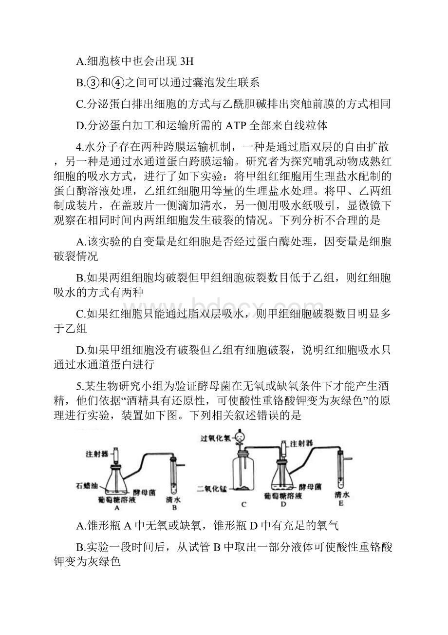 永州市届高三第一次模拟考试 生物试题含答案.docx_第2页