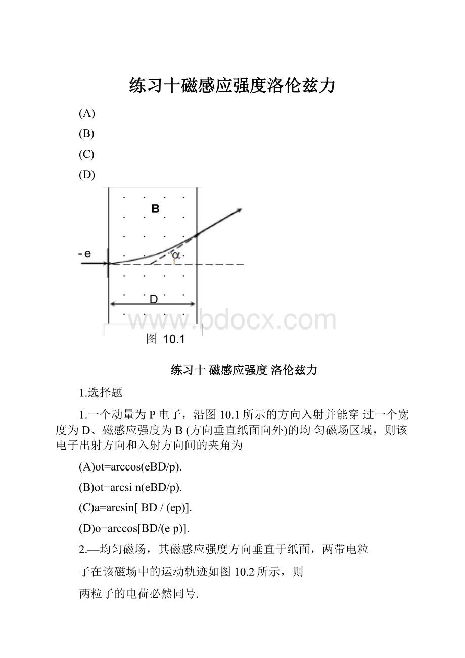 练习十磁感应强度洛伦兹力文档格式.docx