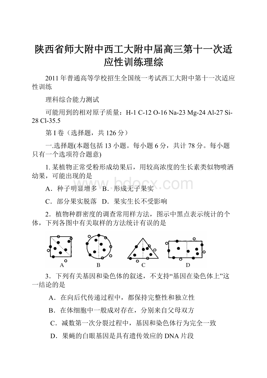 陕西省师大附中西工大附中届高三第十一次适应性训练理综Word文档下载推荐.docx