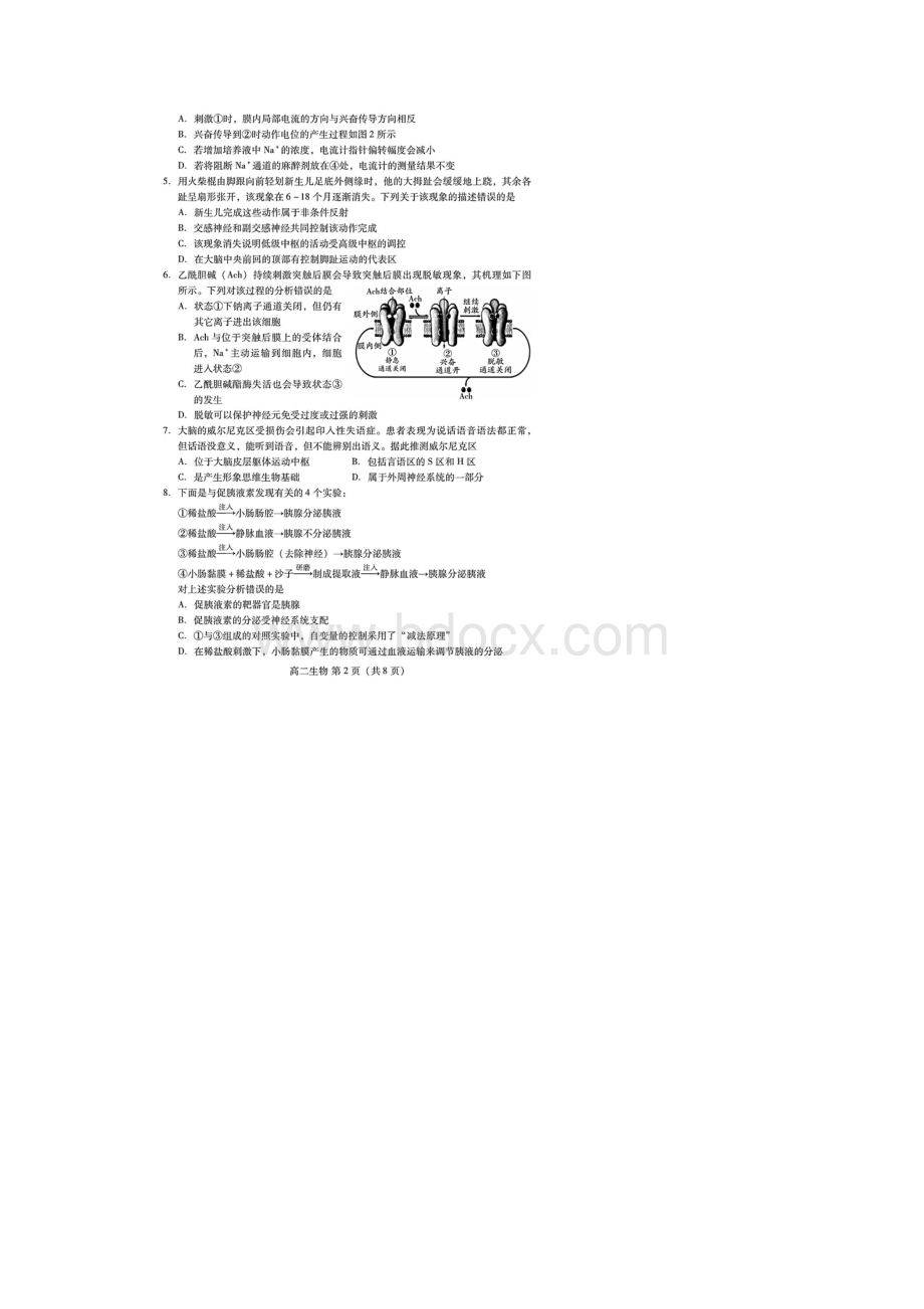 山东省潍坊市学年高二上学期期中考试生物试题含答案解析.docx_第2页