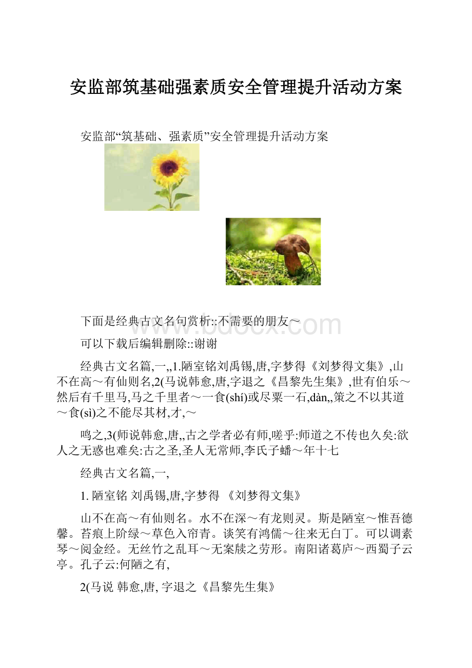 安监部筑基础强素质安全管理提升活动方案Word文档格式.docx_第1页