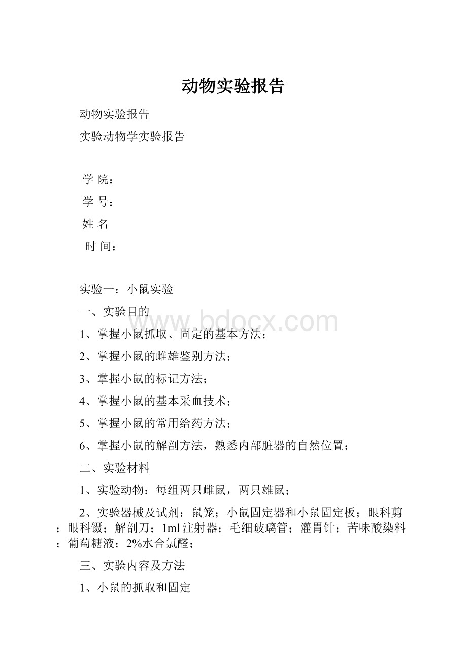 动物实验报告Word文件下载.docx