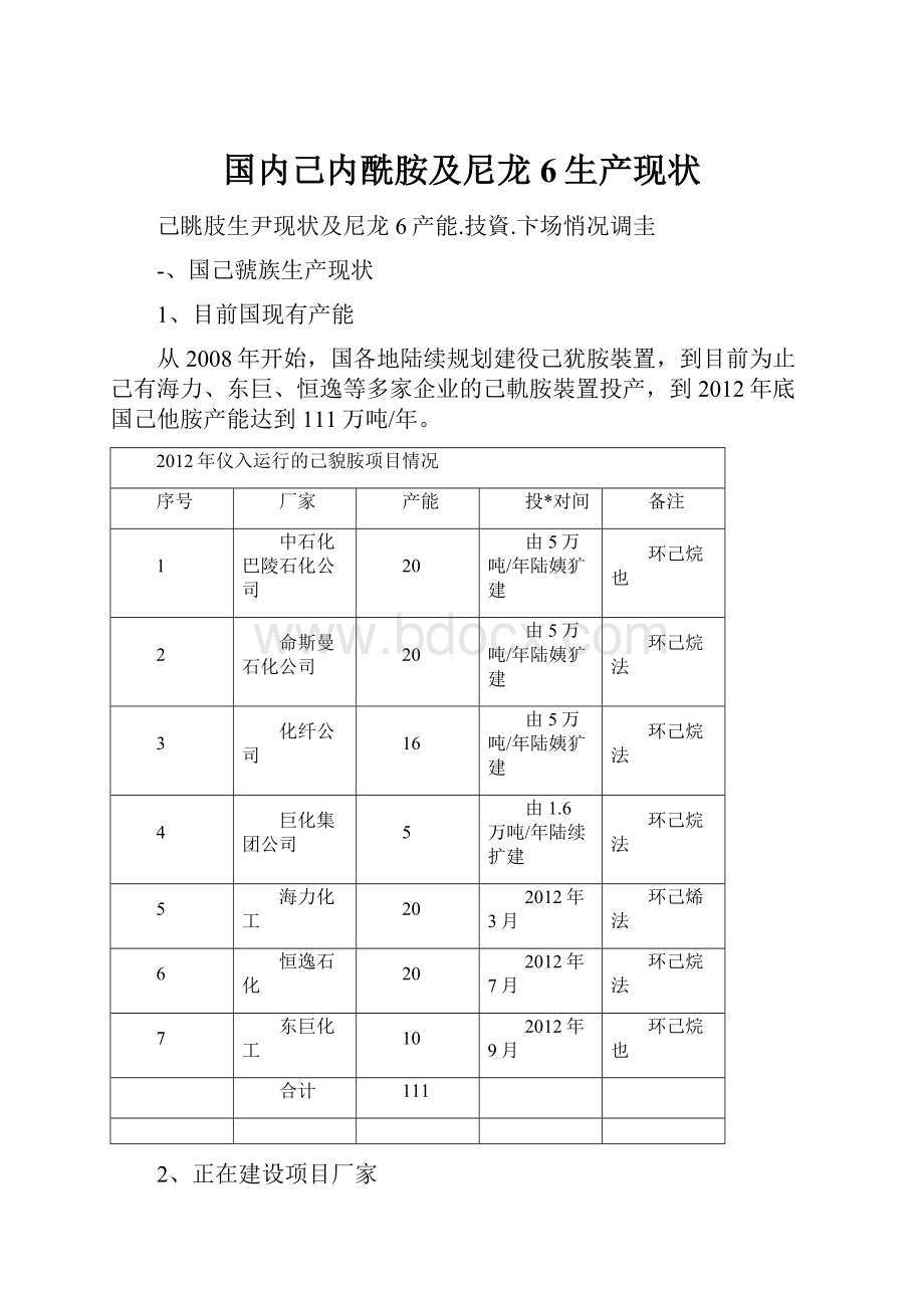 国内己内酰胺及尼龙6生产现状.docx