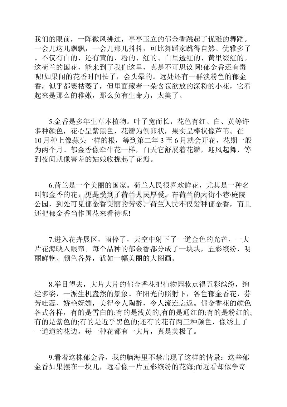 赞美郁金香的优美片段Word文档下载推荐.docx_第2页