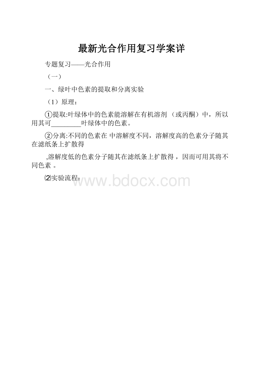 最新光合作用复习学案详Word格式.docx