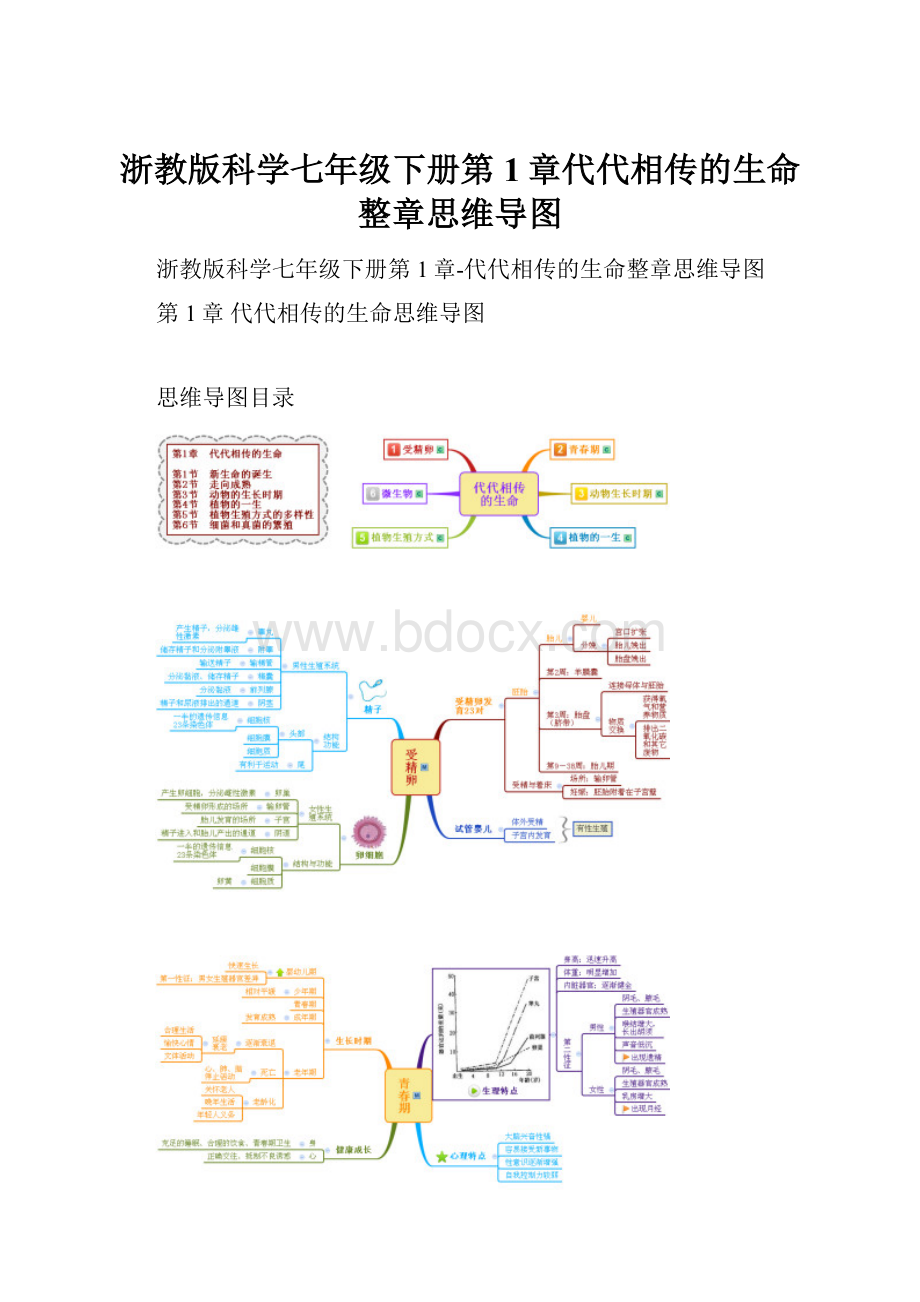 浙教版科学七年级下册第1章代代相传的生命整章思维导图.docx_第1页