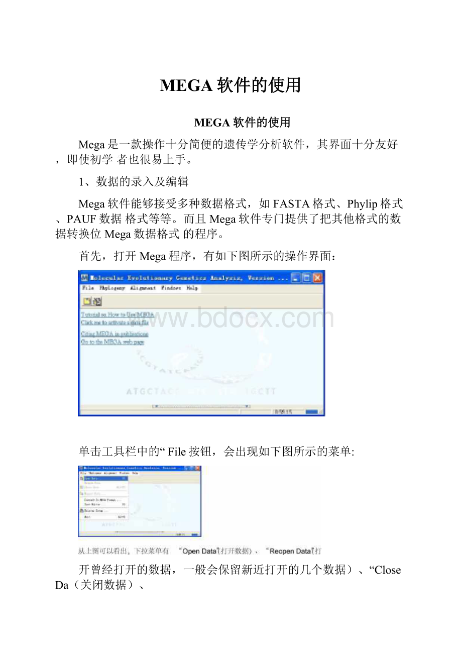 MEGA软件的使用.docx_第1页