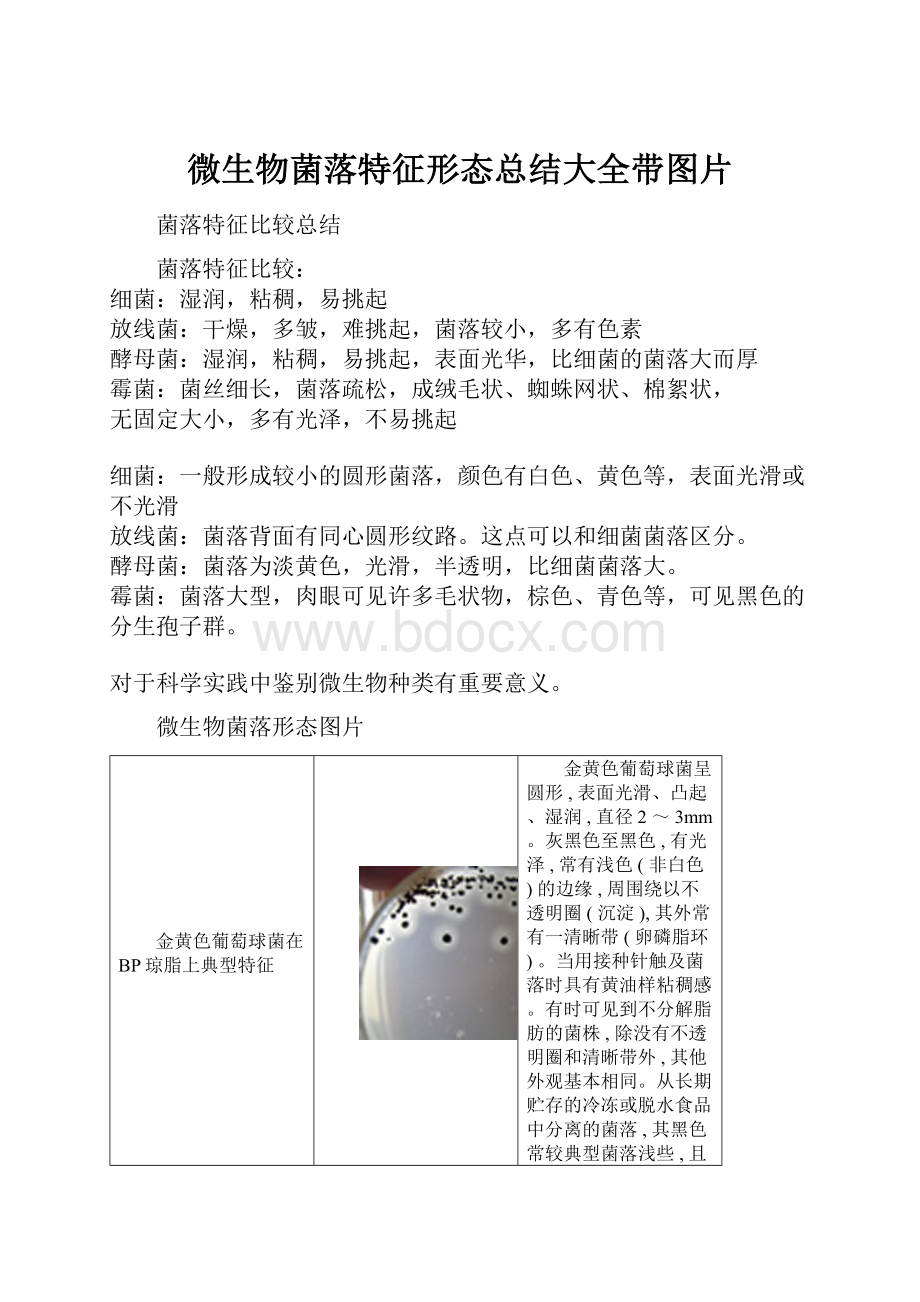 微生物菌落特征形态总结大全带图片Word文档格式.docx_第1页