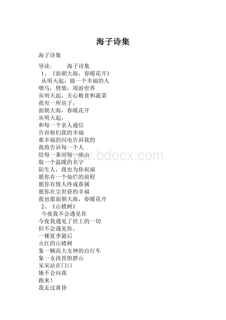 海子诗集Word格式.docx