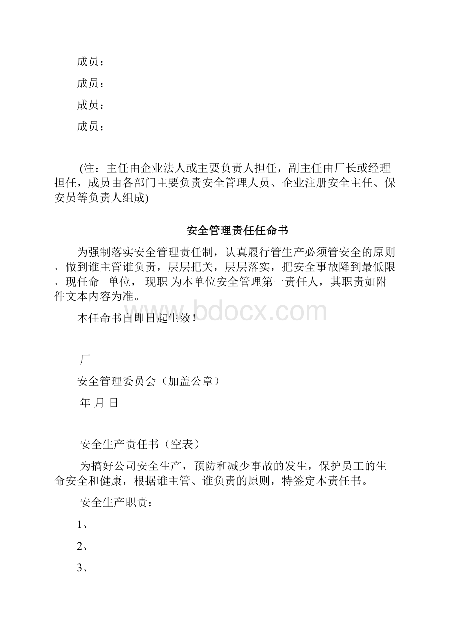 安全管理组织架构Word文档格式.docx_第2页