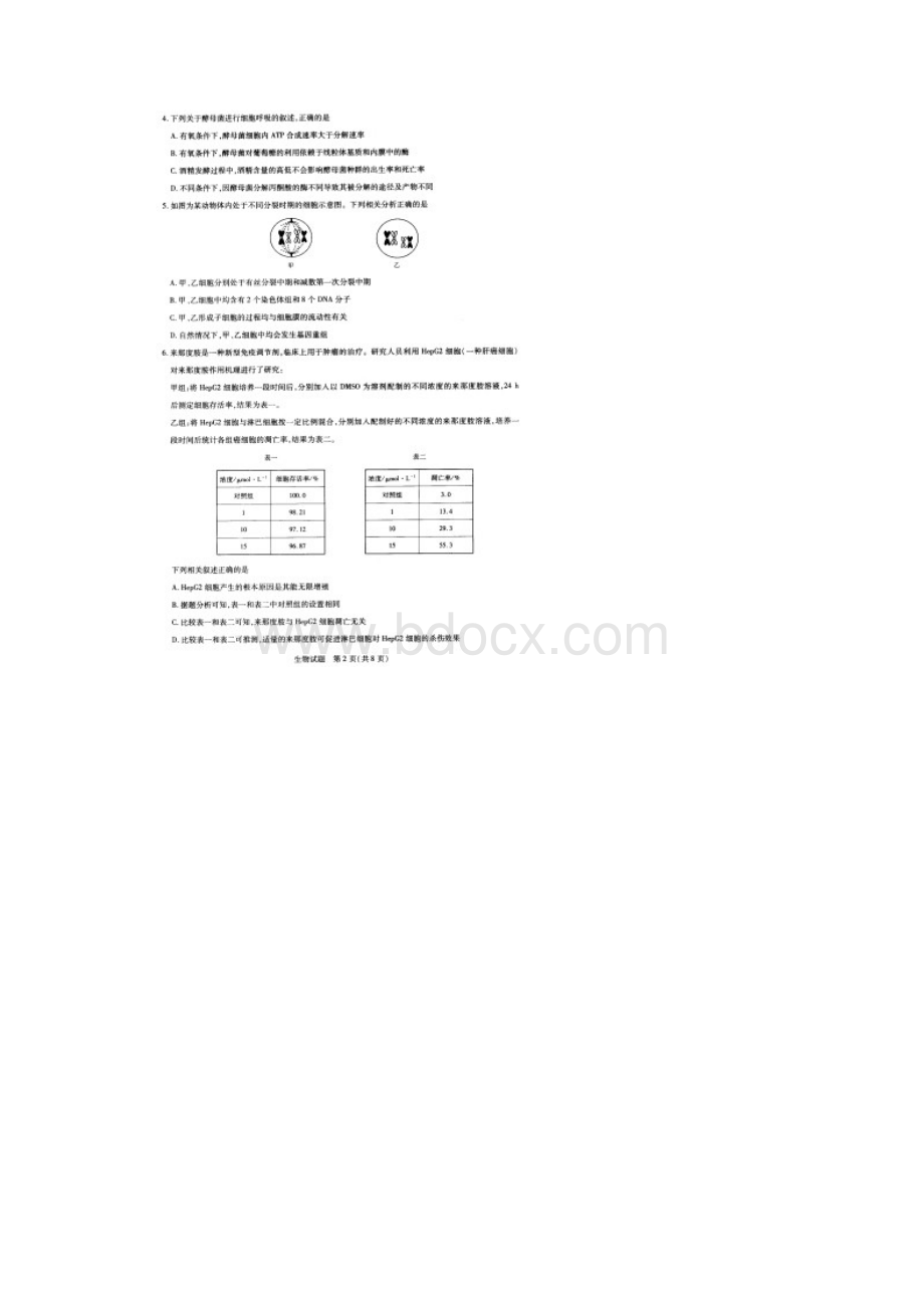 学年河南省十所重点名校高二下学期期末考试生物试题扫描版含答案Word下载.docx_第2页