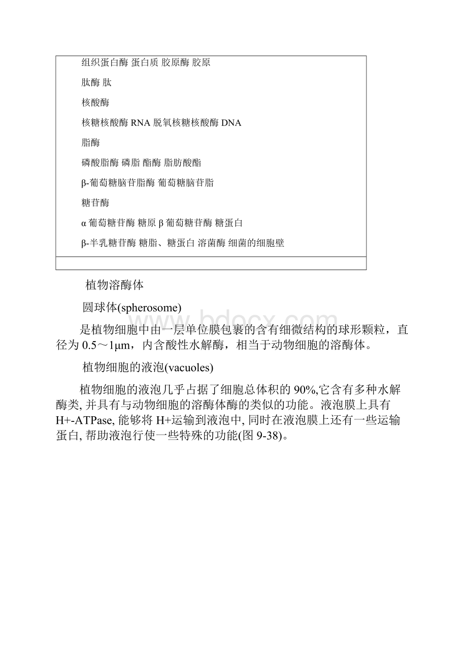 内膜系统与膜运输3.docx_第3页