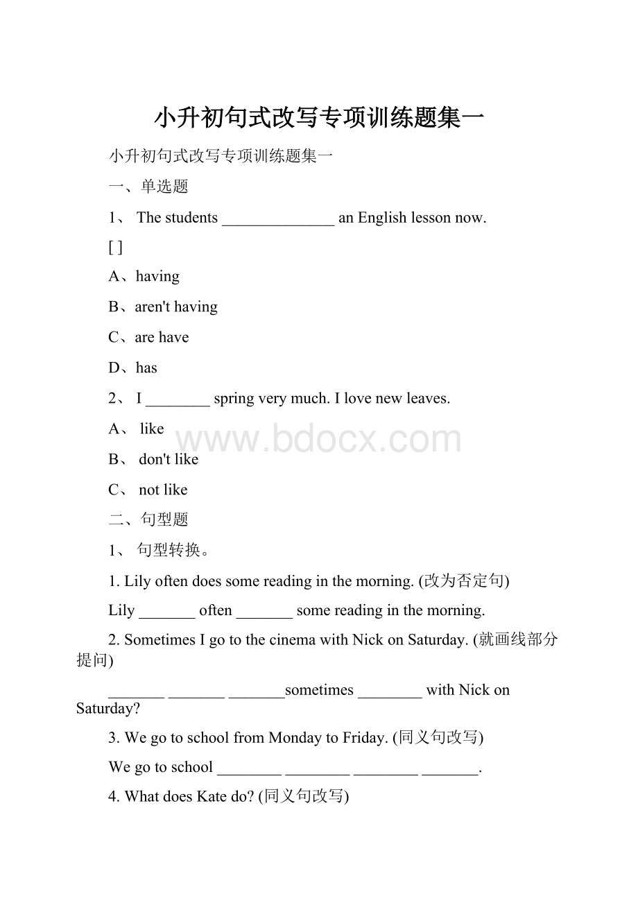 小升初句式改写专项训练题集一文档格式.docx