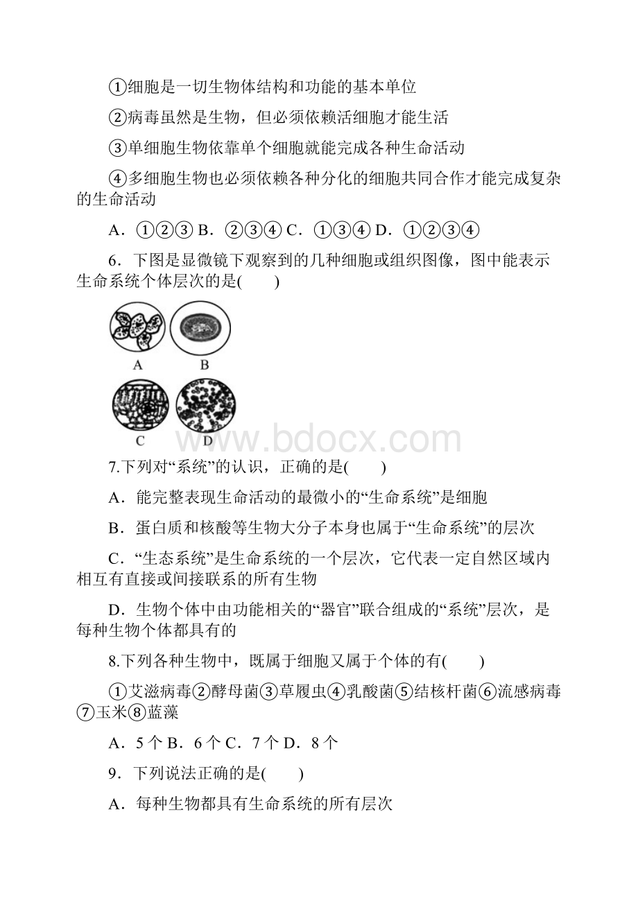 辽宁省本溪市第一中学学年高一月考生物Word文档下载推荐.docx_第2页