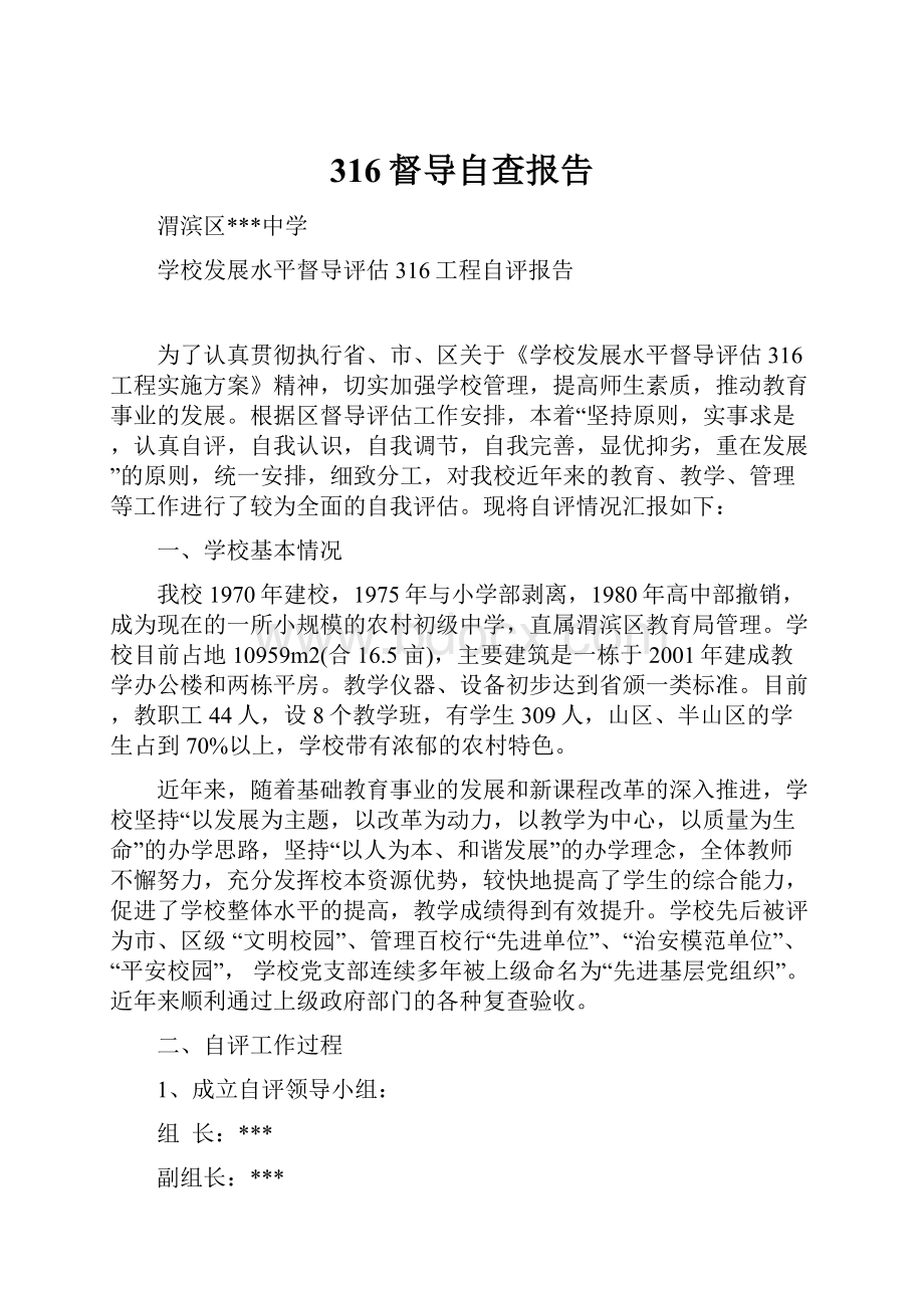 316督导自查报告Word格式文档下载.docx