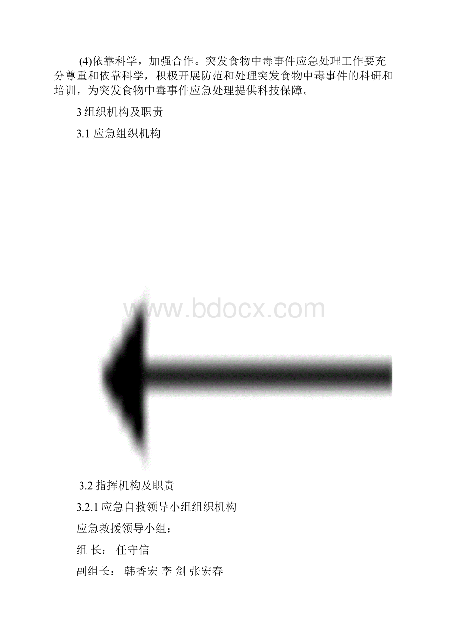 食物中毒专项应急预案Word格式文档下载.docx_第2页